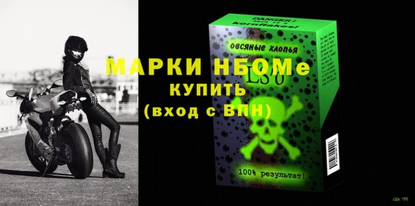 гидра Михайловка