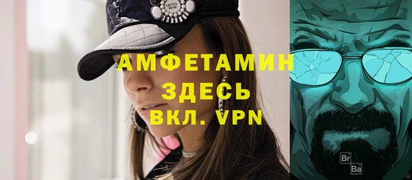 гидра Михайловка