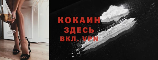 гидра Михайловка