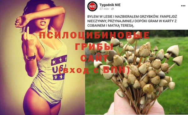 не бодяженный Михайловск
