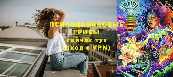 гидра Михайловка