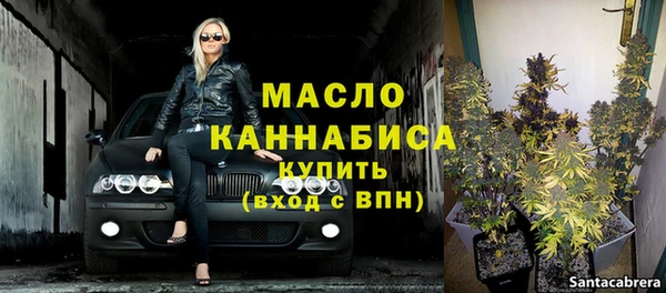 гидра Михайловка