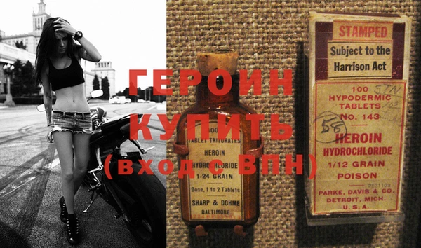 гидра Михайловка