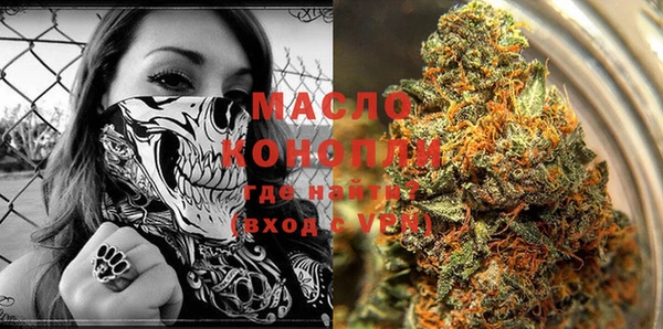 гидра Михайловка