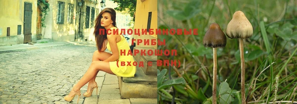 гидра Михайловка