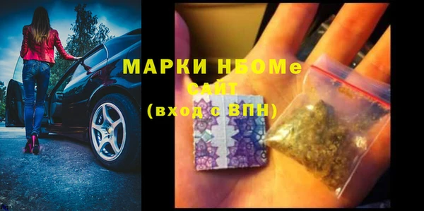 гидра Михайловка