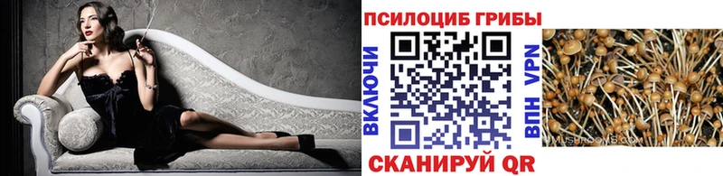 Псилоцибиновые грибы мухоморы  Александровское 